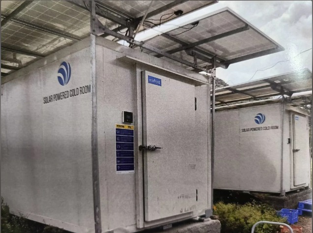 Solar Cold Room Installation